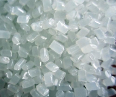 Chuyên Phân Phối Hạt Tăng Dai Hàng Đầu Tại TPHCM