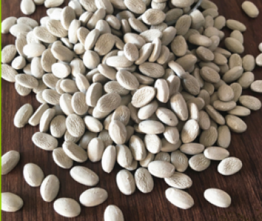 Phụ Gia Hút Ẩm Cho Hạt Nhựa: Hướng Dẫn Chọn Mua Và Sử Dụng Tối Ưu