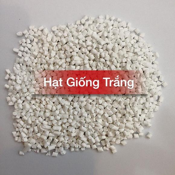 Hạt giống trắng