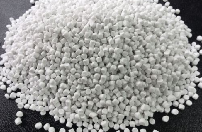 Khám phá ngay chỗ mua hạt taical trong uy tín tại HCM