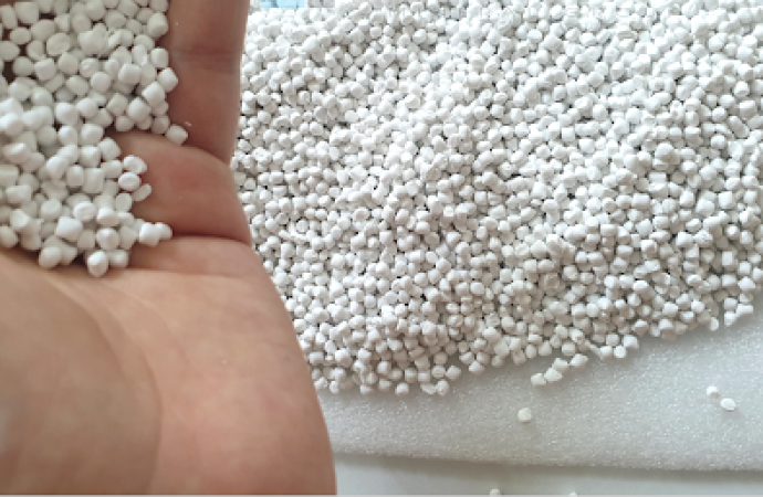 Hạt Taical Độn Giá Sỉ Tại TP.HCM